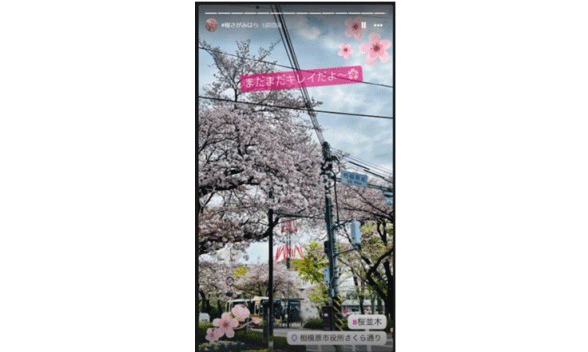 巷で話題沸騰中！「相模原市シティプロモーション」公式SNSに迫る。画像