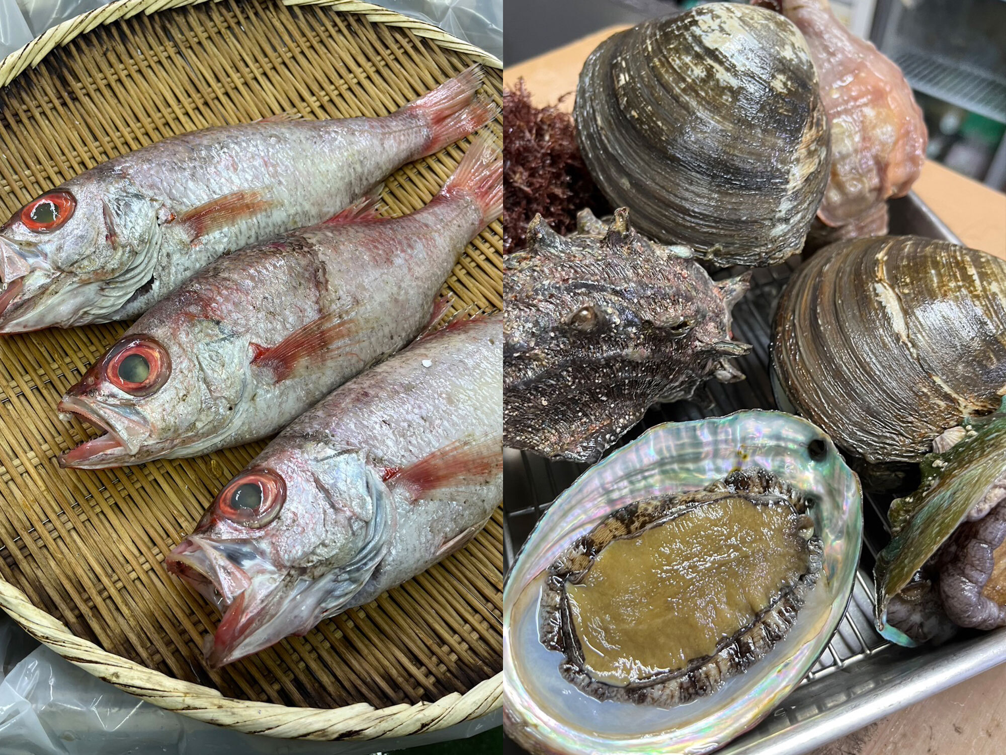 えっ!?にぎりっすか!?画像